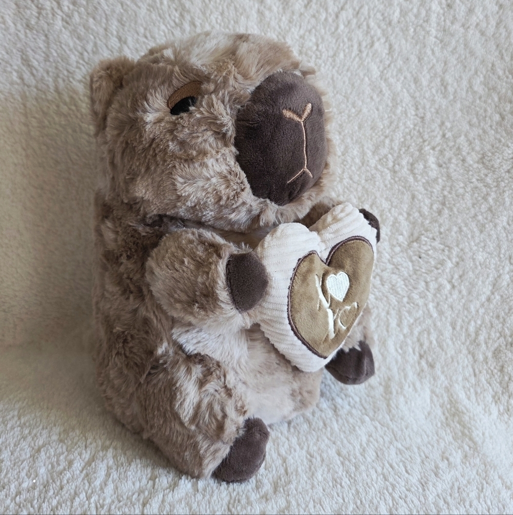 New plush toy capybara stuffed exotic animal Valentine's day 2026, holding heart